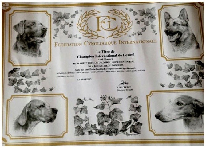 du domaine de Maelys - Titre Champion International de béauté.....