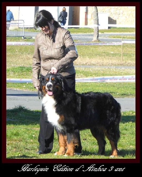 du domaine de Maelys - CACIB Périgueux 07.03.2015
