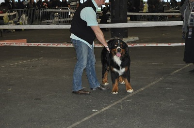 du domaine de Maelys - Exposition Internationale de Bordeaux 06.01.2013