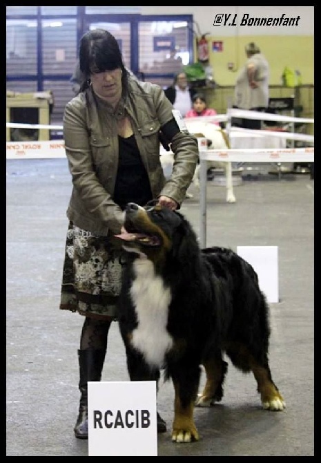 du domaine de Maelys - CACIB Pau 05.04.2015