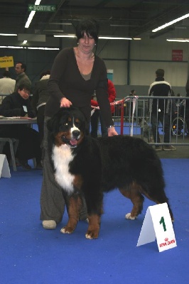 du domaine de Maelys - CACIB Toulouse 24.02.2013
