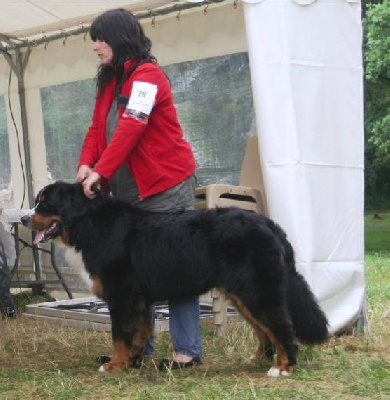 du domaine de Maelys - RE Auterive le 22/06 et 23/06