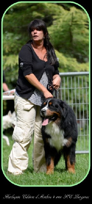 du domaine de Maelys - RE Bergerac 24/08/2014