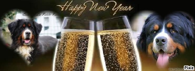 du domaine de Maelys - Happy new year 2016